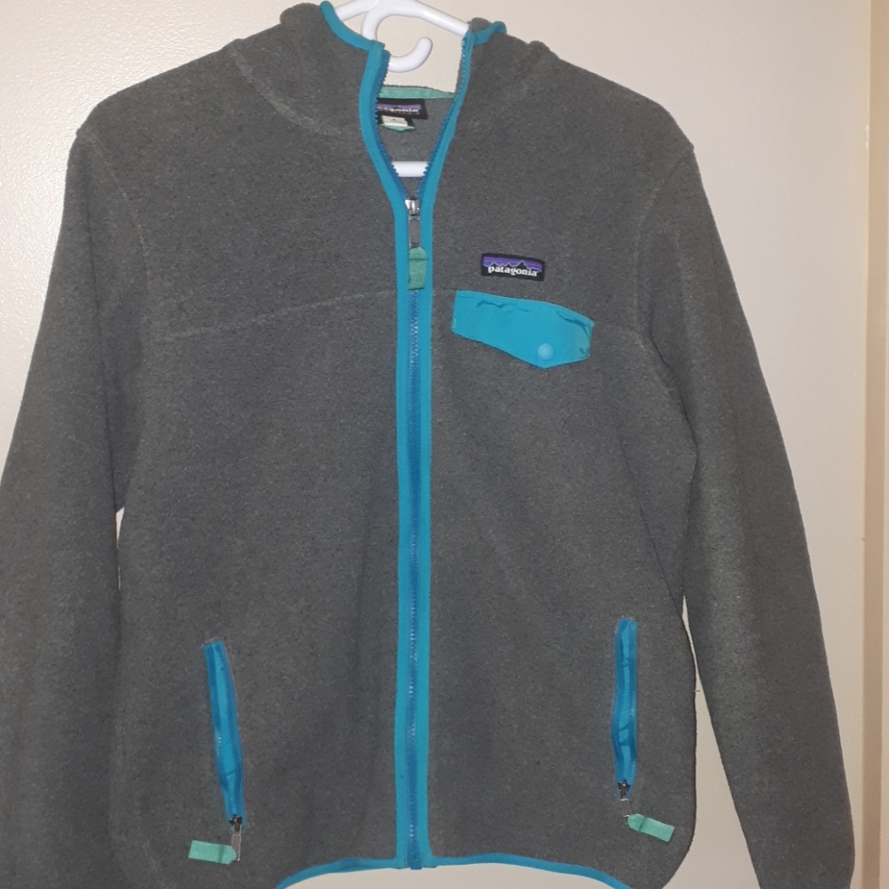 Patagonia Synchilla hooded zip-up sweater